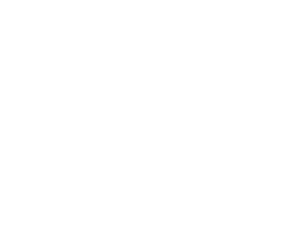 logo_mappi